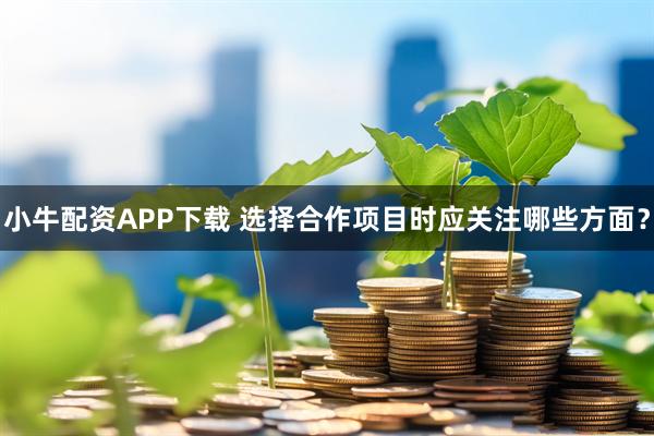 小牛配资APP下载 选择合作项目时应关注哪些方面？