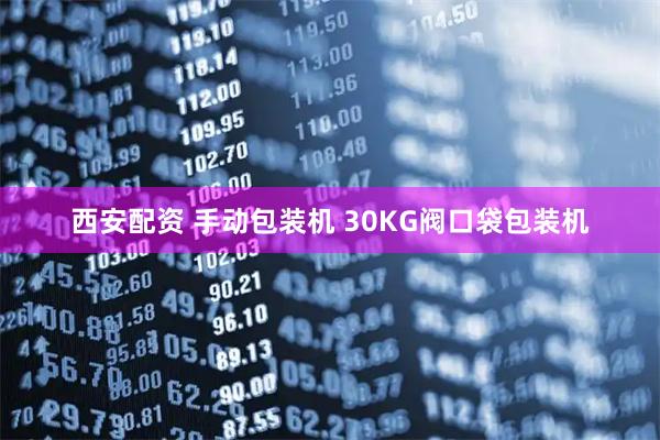 西安配资 手动包装机 30KG阀口袋包装机