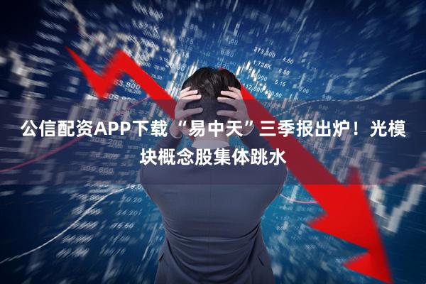 公信配资APP下载 “易中天”三季报出炉！光模块概念股集体跳水