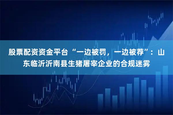 股票配资资金平台 “一边被罚，一边被荐”：山东临沂沂南县生猪屠宰企业的合规迷雾